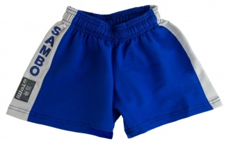 Шорты для самбо цвет синий